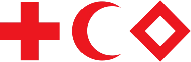Movimento Internazionale